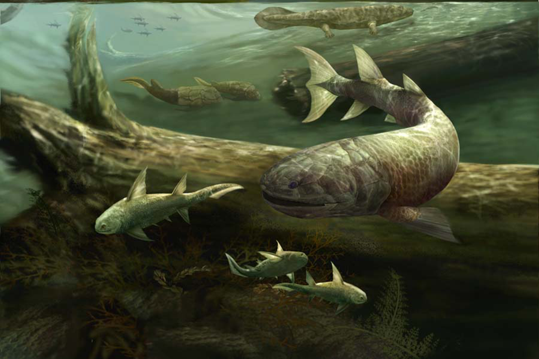 Illustration of early tetrapods and tetrapod-like fishes.