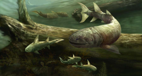 Illustration of early tetrapods and tetrapod-like fishes.